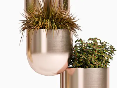 Decorative plant set-72 3D model