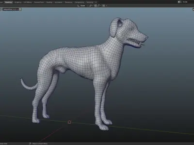 QATARI STREET DOG LOWPOLY Low-poly 3D model