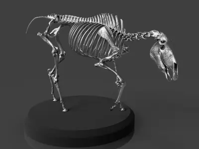 Silver Horse Skeleton 3D model