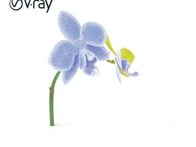 Orchid Flower D Model Pack with PBR Textures Low-poly 3D model