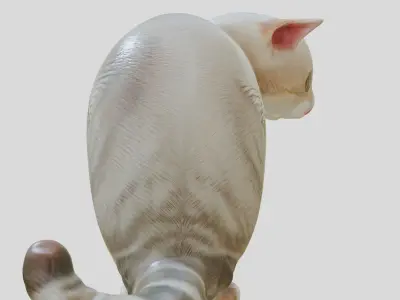 Domestic Cat Sitting Pose Model Low-poly 3D model