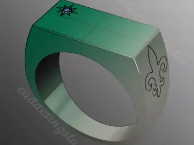 Ring bi154 3D print model