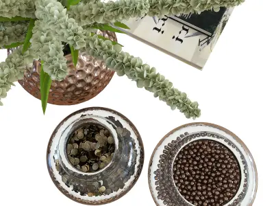 Decorative set three vases with plants and book 3D model