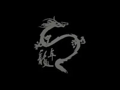 Dragon petterns 3D model