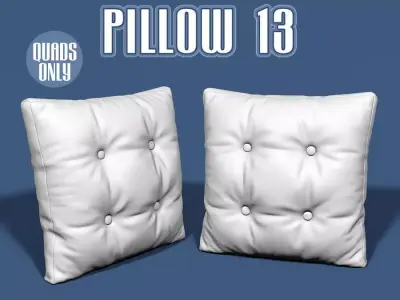 Pillow 13 3D model
