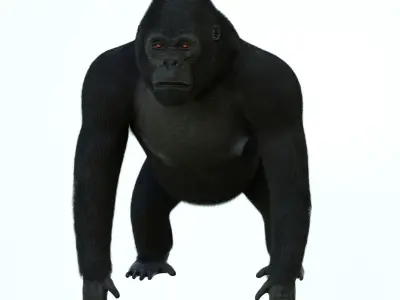 GORILLA 3D model