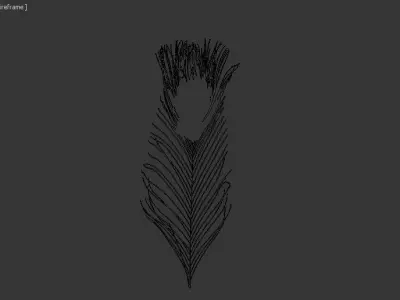 pecock feather 3D model