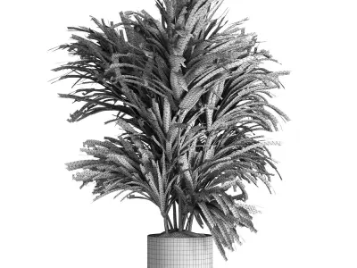 indoor plant 045 3D model