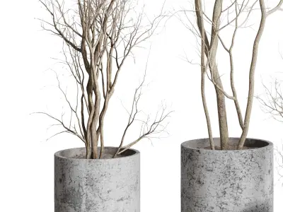 Tree and Dried branches with concrete dirt vase 3D model