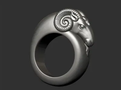 ram ring 3D print model