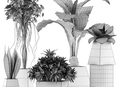 Plants Collection 42 3D model