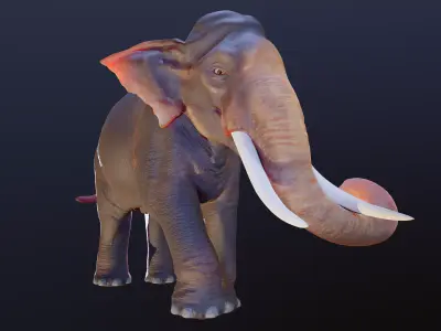 Realistic 3D Elephant with Tusks 3D model