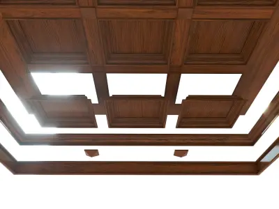 Classic wooden ceiling with caissons 01 3D model
