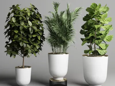 collection Indoor plant 35 -concrete vase Low-poly 3D model