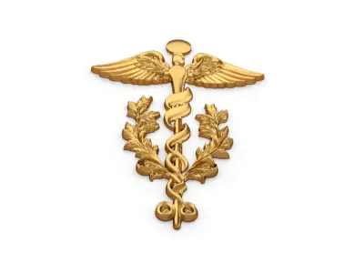 Relief Caduceus carved 03 3D model