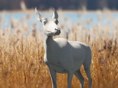 Pronghorn Female Animated 3D model