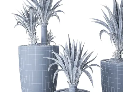 Palm Yucca 3D model