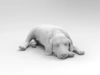 dog 5 3D model
