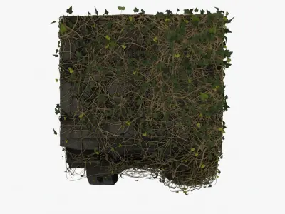 Ruined truck coved with ivy 3D model