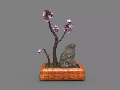 Bonsai Tree with pink flowers 3d Model Low-poly 3D model