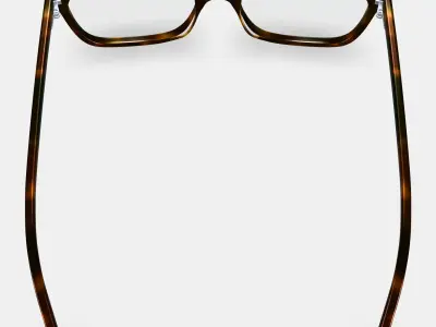 Benicio Eyeglasses in Ristretto Tortoise 3D model