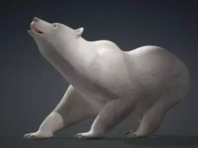 White Bear 3D model