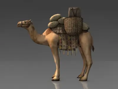 Loaded camel Low-poly 3D model