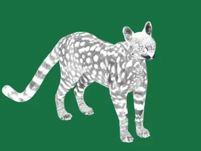 Savannah Cat Low-poly 3D model