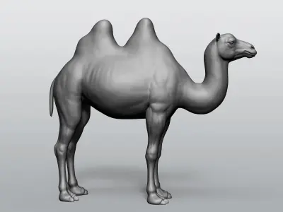 Domestic animal collection 5 animals 3D model