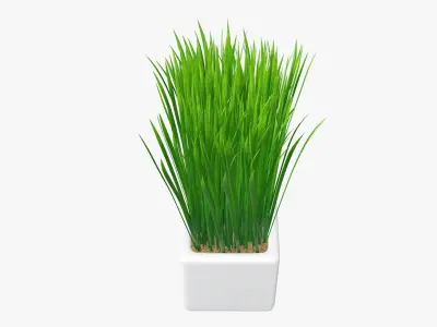 Long grass potted decorative   3D model