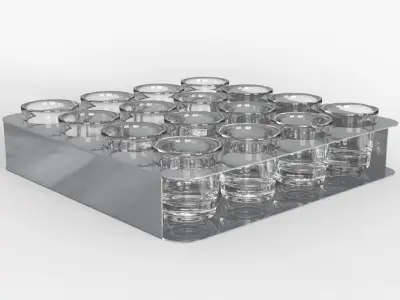 Shot Glasses Tray 3D model