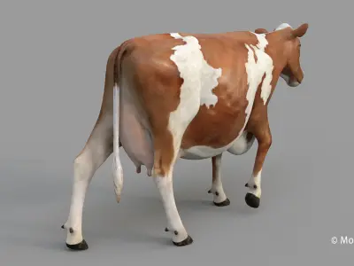 Cow PRO - Ayrshire  3D model