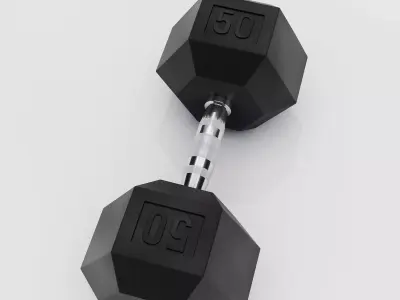 50LB Hex Dumbell 3D model