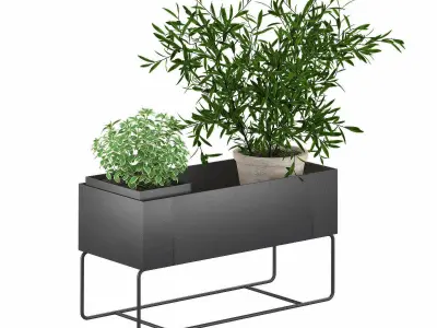 Decoration combo 3D model
