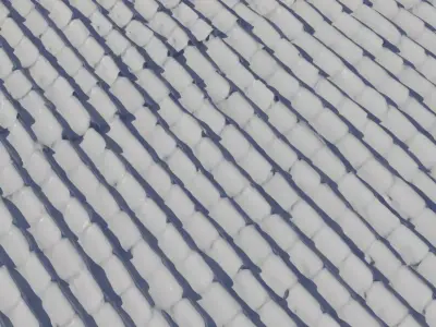 Leaf Littered Clay Pan Roof  Texture