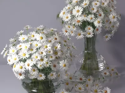 Realistic Daisy Chamomile Bouquet Vase 3D model