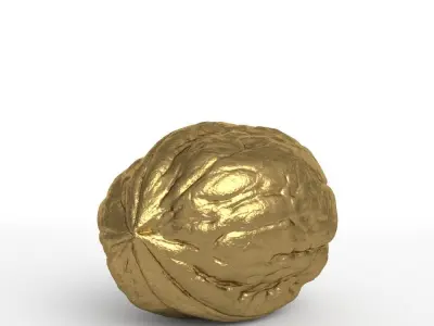 Golden Walnut Decorative 3D model