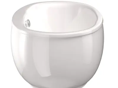 K 6369 Sunstruck Freestanding Bath Tub 3D model