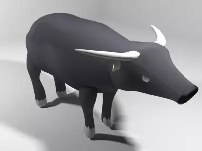 Buffalo - Asia 3D model