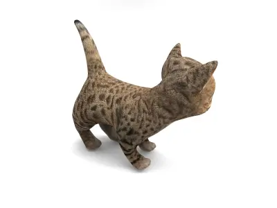 Cute Cartoon Cat Animated Low-poly 3D model