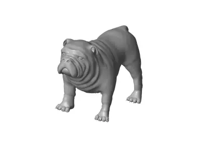 Dog - 3D model 12