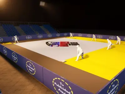 Proyecto Baseball 5  3D model
