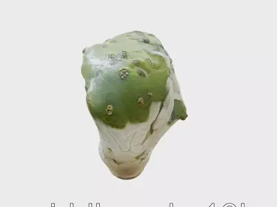 Moss-Covered Mystical Hollow Stone model pack Low-poly 3D model