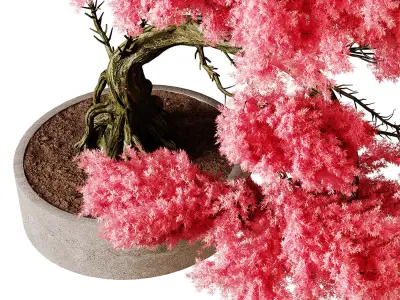 Indoor plants 76 - Plant in pot 3D model