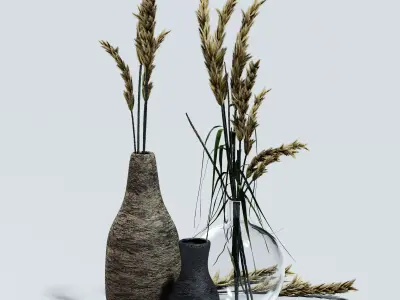 dried flowers in vase 3D model