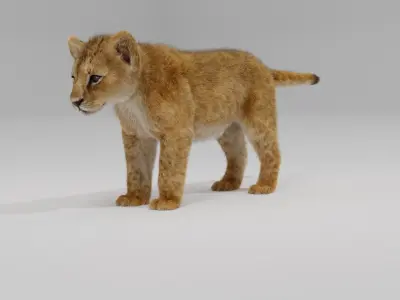 Young Lion Cup 3D model