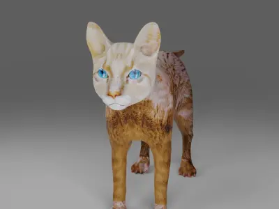 Cat White NO Rigged in Blender  Low-poly 3D model