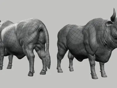 Bull model 3D model