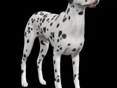 Dalmatian Dog  Low-poly 3D model