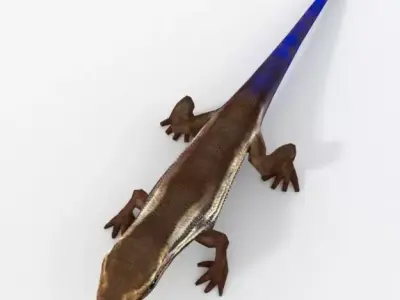 Scratched Skink Low-poly 3D model